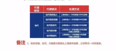 重慶軟件開發(fā) 打造高效便捷的品佳人代理下單系統(tǒng)